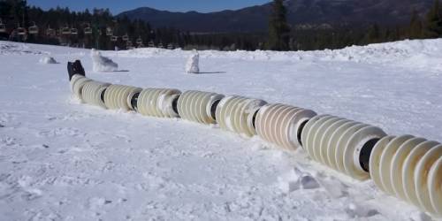 EELS on consolidated snow.
